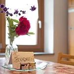 Apartament Delfine
